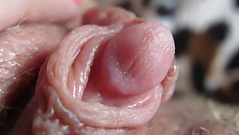 Up-Close And Personal With My Throbbing Clit Head