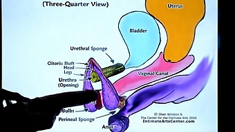 European Female Masturbation Techniques: A Compilation