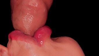 Hd Video Of Intimate Handjob And Milking Blowjob With Close-Up Shots